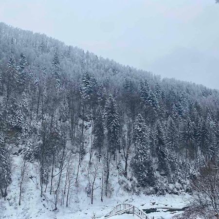 Писанка Плюс Hotel Yaremche Bagian luar foto